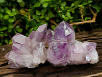 Natural Jacaranda Amethyst Quartz Crystal Clusters x 4 From Mumbwa, Zambia