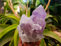 Natural Jacaranda Amethyst Quartz Crystal Clusters x 4 From Mumbwa, Zambia