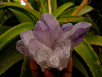 Natural Jacaranda Amethyst Quartz Crystal Clusters x 4 From Mumbwa, Zambia