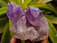 Natural Jacaranda Amethyst Quartz Crystal Clusters x 4 From Mumbwa, Zambia