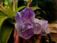 Natural Jacaranda Amethyst Quartz Crystal Clusters x 4 From Mumbwa, Zambia