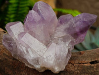 Natural Jacaranda Amethyst Quartz Crystal Clusters x 4 From Mumbwa, Zambia