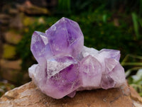 Natural Jacaranda Amethyst Quartz Crystal Clusters x 4 From Mumbwa, Zambia