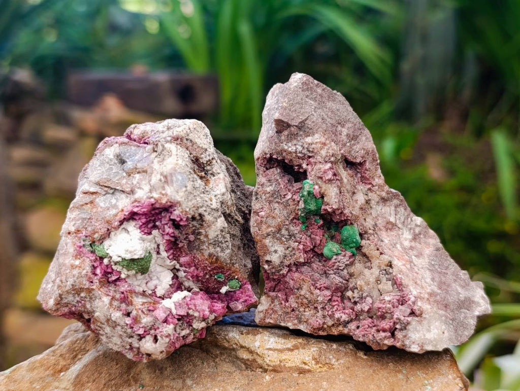 Natural Salrose Cobaltion Dolomite With Malachite And Quartz Specimens x 6 From Kakanda, Congo