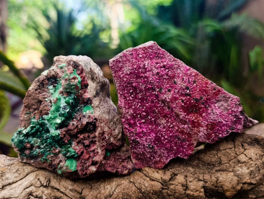 Natural Salrose Cobaltion Dolomite With Malachite And Quartz Specimens x 6 From Kakanda, Congo