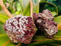 Natural Salrose Cobaltion Dolomite With Malachite And Quartz Specimens x 6 From Kakanda, Congo