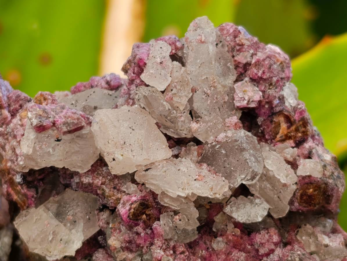 Natural Salrose Cobaltion Dolomite With Malachite And Quartz Specimens x 6 From Kakanda, Congo