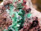 Natural Salrose Cobaltion Dolomite With Malachite And Quartz Specimens x 6 From Kakanda, Congo