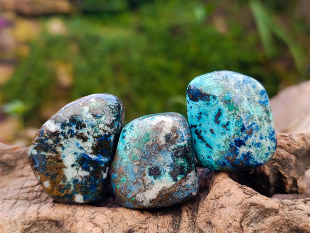 Polished Shattuckite Free Forms x 20 From Congo - Toprock Gemstones and Minerals 