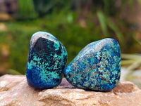 Polished Shattuckite Free Forms x 20 From Congo