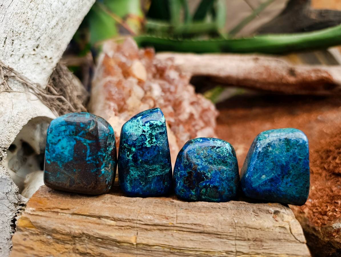 Polished Shattuckite Free Forms x 20 From Congo - Toprock Gemstones and Minerals 