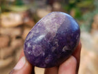 Polished Lepidolite With Pink Rubellite Palm Stones x 12 From Ambatondrazaka, Madagascar