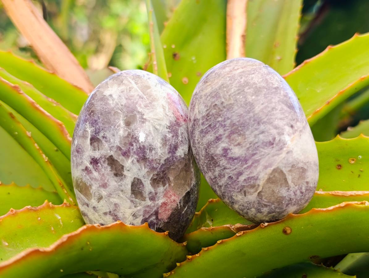 Polished Lepidolite With Pink Rubellite Palm Stones x 12 From Ambatondrazaka, Madagascar
