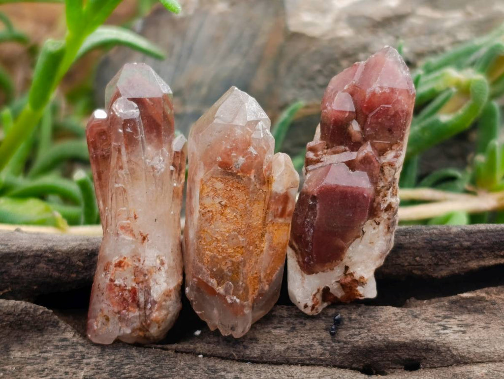 Natural Red Hematoid Quartz Crystals x 70 From Karoi, Zimbabwe