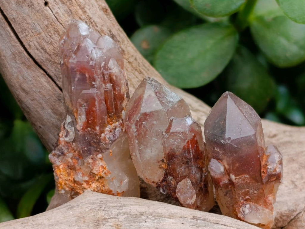 Natural Red Hematoid Quartz Crystals x 70 From Karoi, Zimbabwe