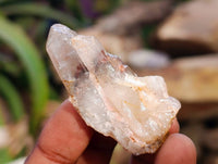 Natural Red Hematoid Quartz Crystals x 70 From Karoi, Zimbabwe
