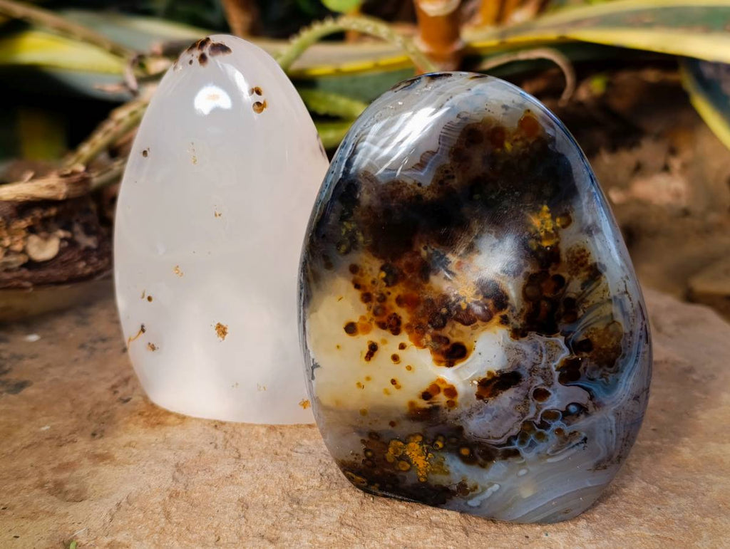 Polished Banded Dendritic Agate Standing Free Forms x 6 From Moralambo, Madagascar