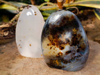 Polished Banded Dendritic Agate Standing Free Forms x 6 From Moralambo, Madagascar