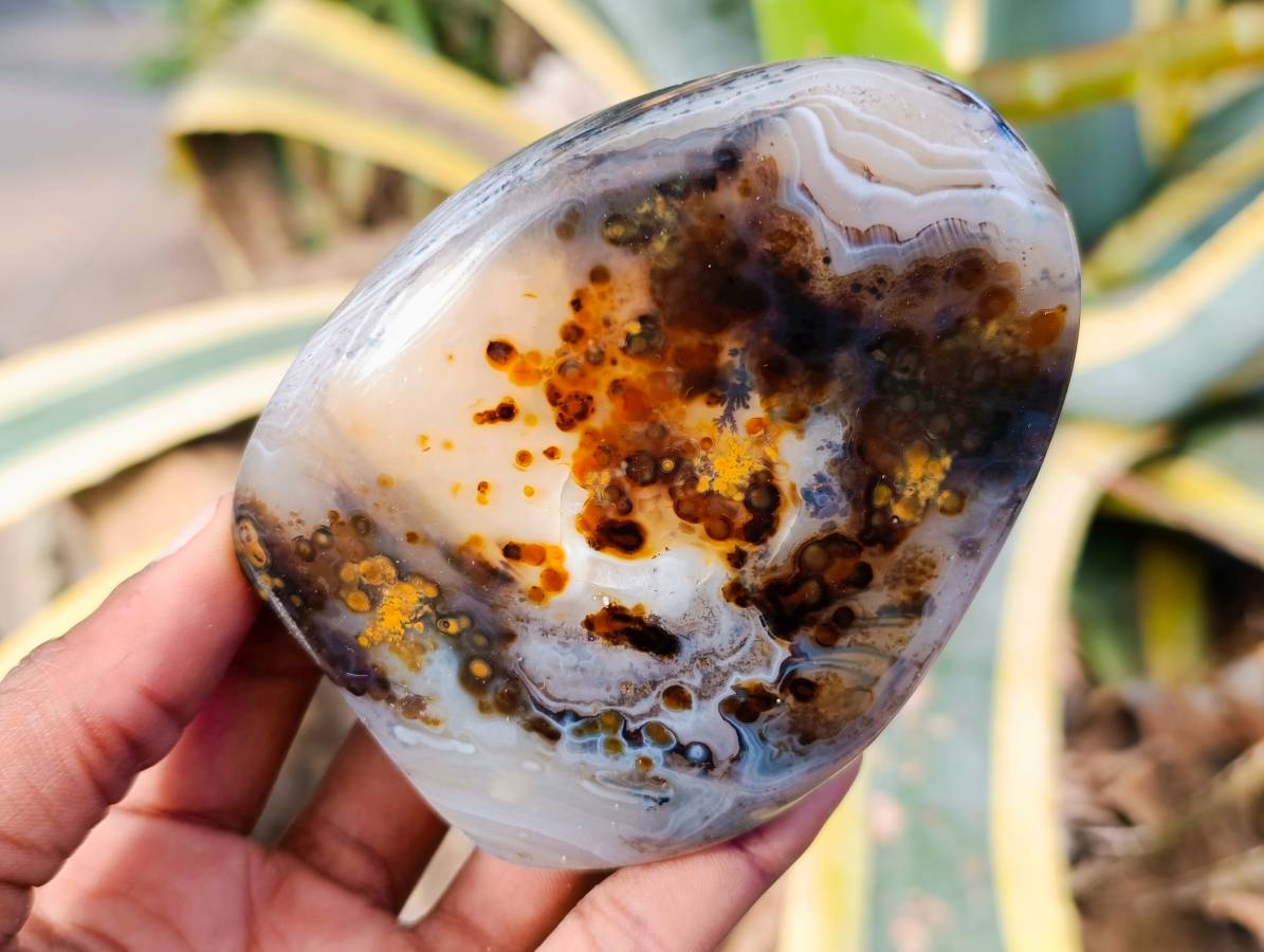 Polished Banded Dendritic Agate Standing Free Forms x 6 From Moralambo, Madagascar