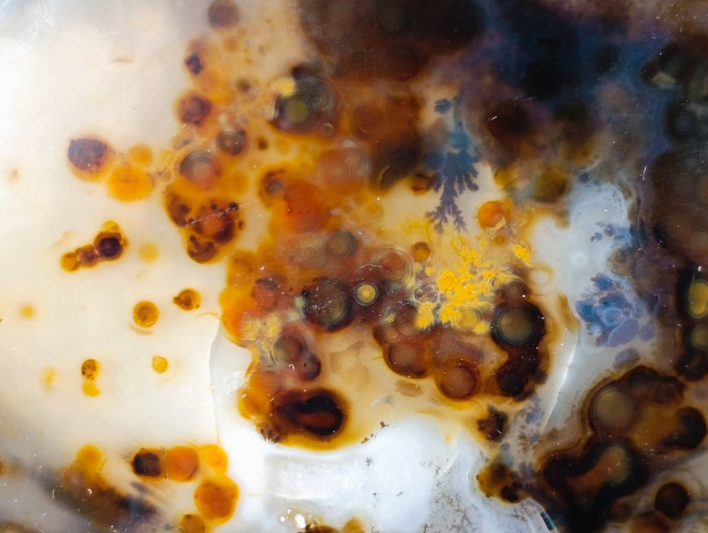 Polished Banded Dendritic Agate Standing Free Forms x 6 From Moralambo, Madagascar