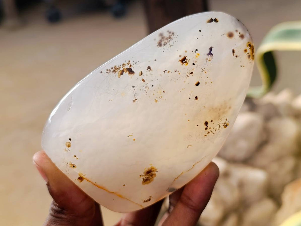 Polished Banded Dendritic Agate Standing Free Forms x 6 From Moralambo, Madagascar