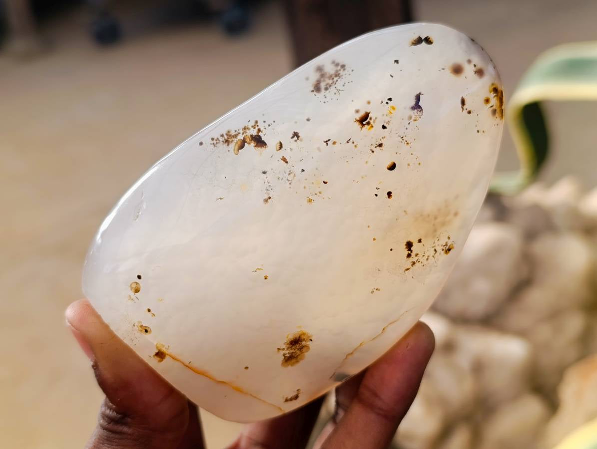 Polished Banded Dendritic Agate Standing Free Forms x 6 From Moralambo, Madagascar