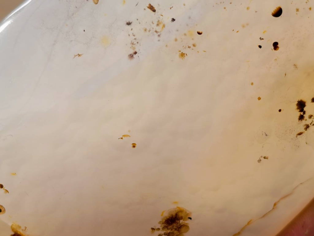 Polished Banded Dendritic Agate Standing Free Forms x 6 From Moralambo, Madagascar