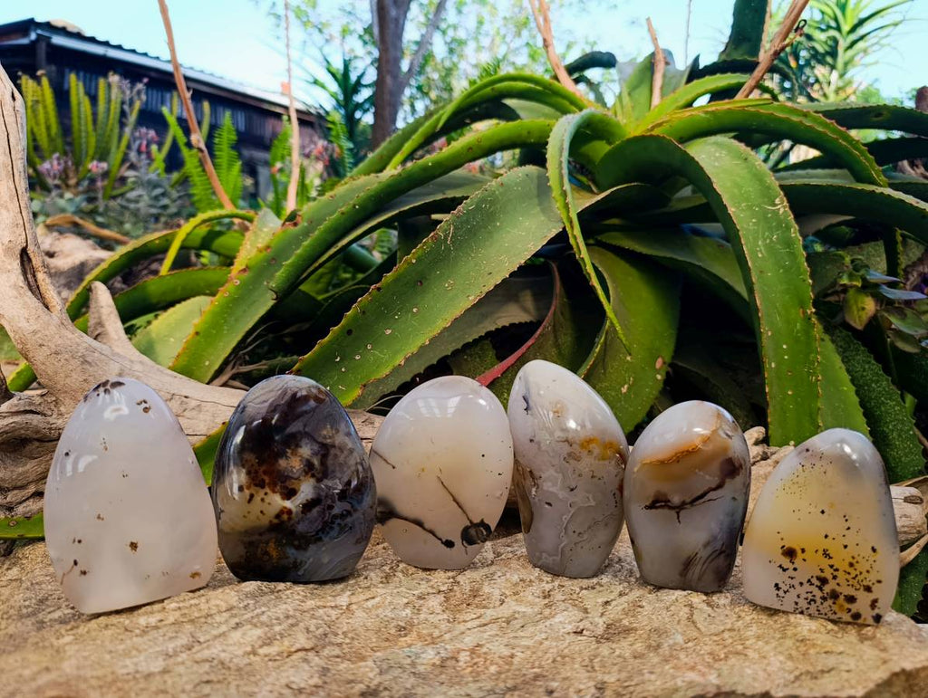 Polished Banded Dendritic Agate Standing Free Forms x 6 From Moralambo, Madagascar