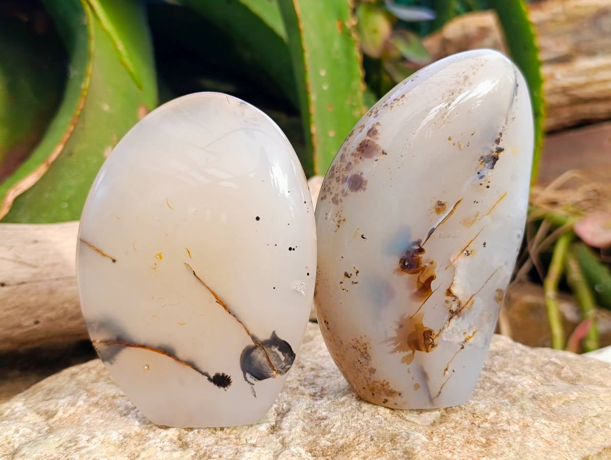 Polished Banded Dendritic Agate Standing Free Forms x 6 From Moralambo, Madagascar