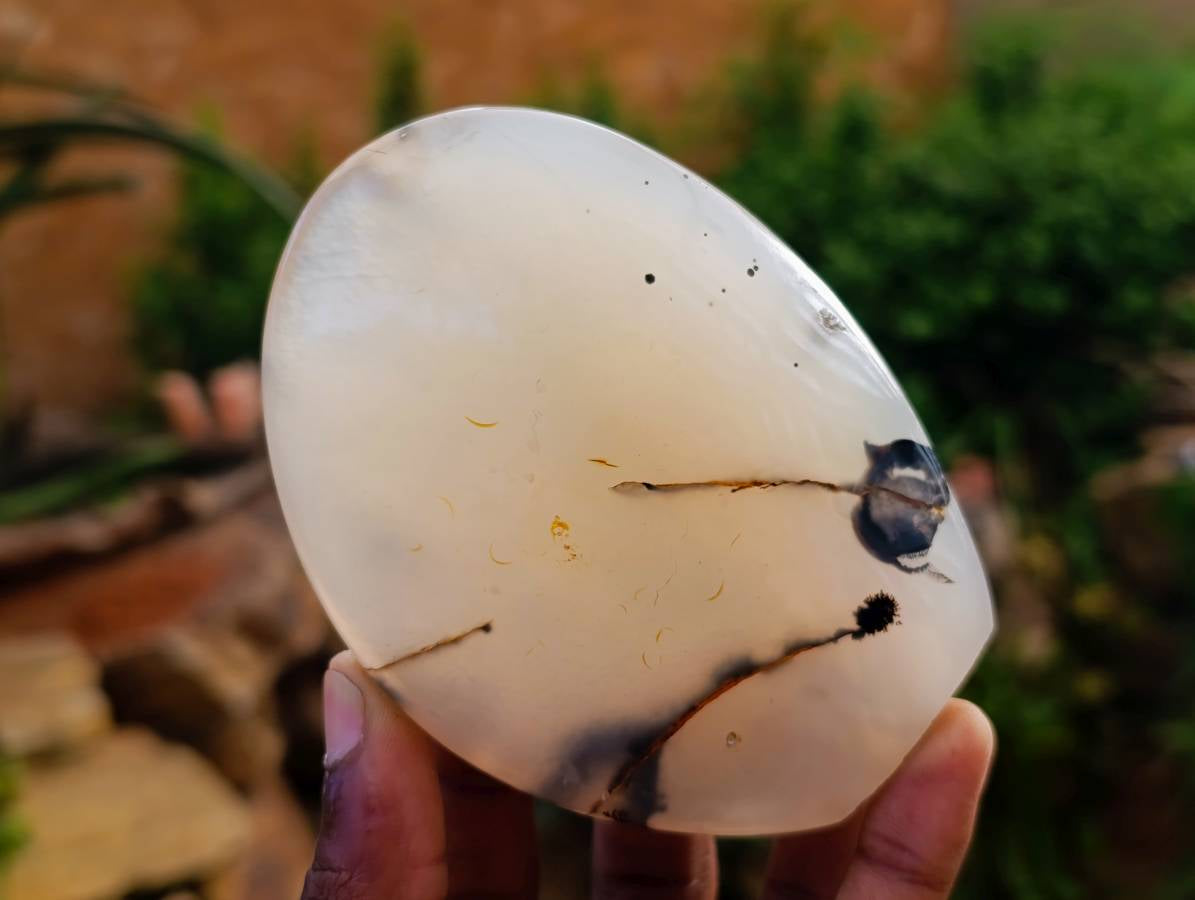 Polished Banded Dendritic Agate Standing Free Forms x 6 From Moralambo, Madagascar