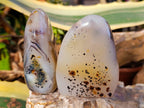 Polished Banded Dendritic Agate Standing Free Forms x 6 From Moralambo, Madagascar