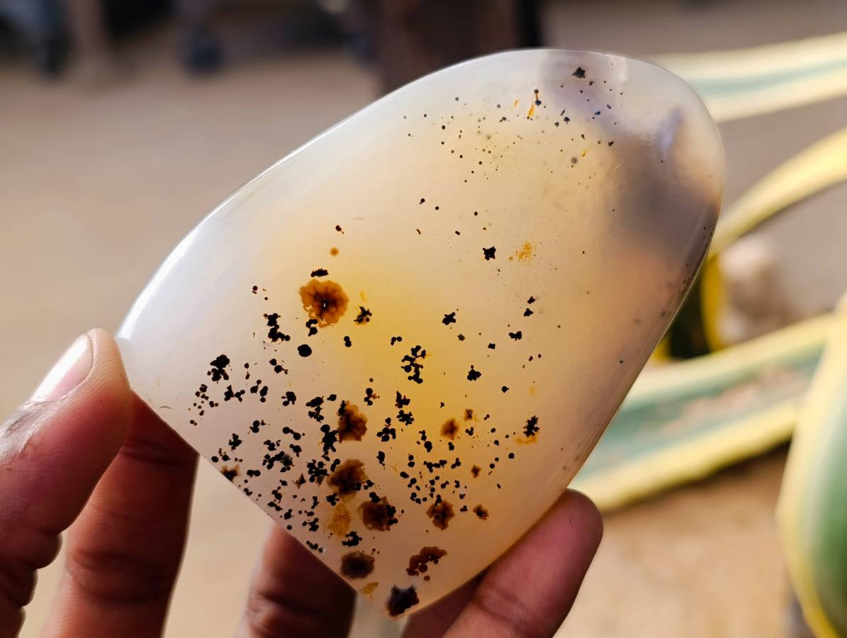 Polished Banded Dendritic Agate Standing Free Forms x 6 From Moralambo, Madagascar