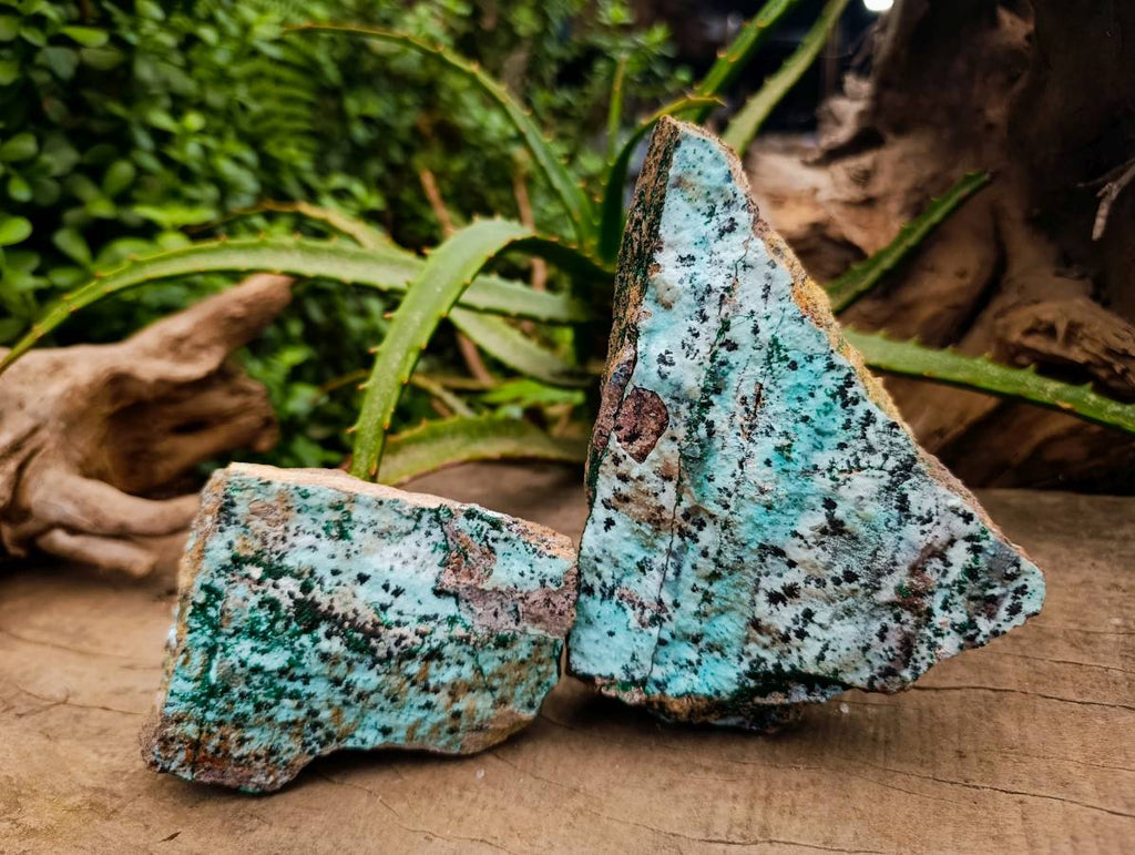 Natural Drusy Chrysocolla Dolomite With Crystalline Malachite Specimens x 3 From Likasi, Congo