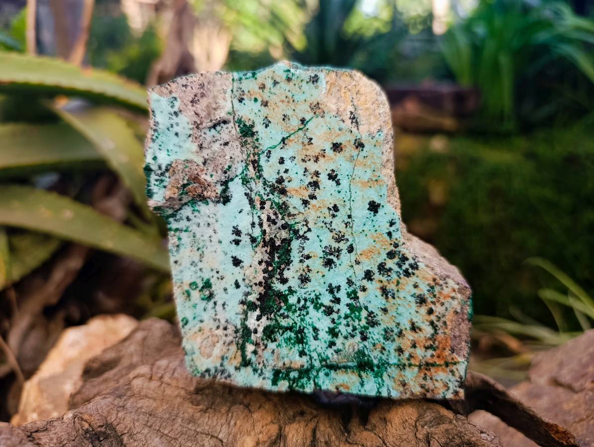 Natural Drusy Chrysocolla Dolomite With Crystalline Malachite Specimens x 3 From Likasi, Congo