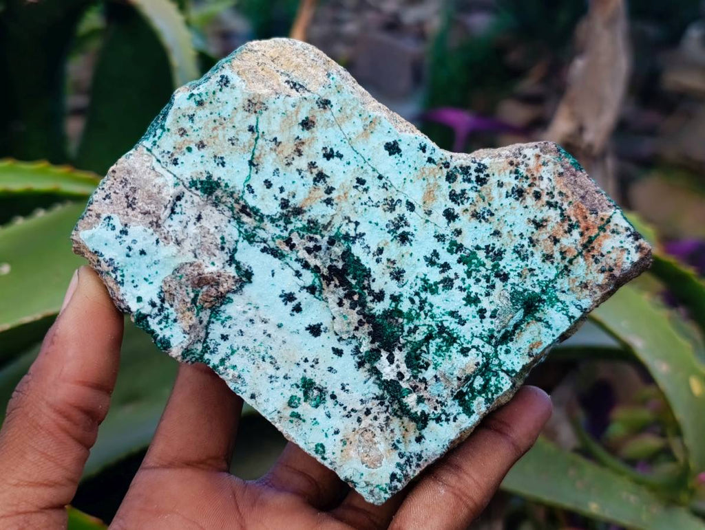Natural Drusy Chrysocolla Dolomite With Crystalline Malachite Specimens x 3 From Likasi, Congo