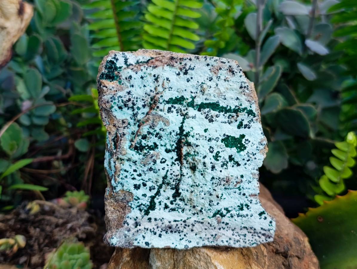 Natural Drusy Chrysocolla Dolomite With Crystalline Malachite Specimens x 3 From Likasi, Congo