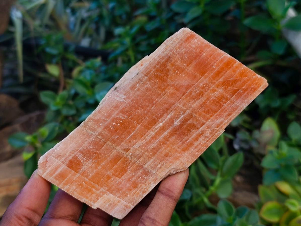 Natural Sunset Orange Calcite Specimens x 12 From Spitzkop, Namibia