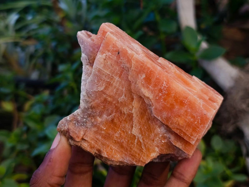 Natural Sunset Orange Calcite Specimens x 12 From Spitzkop, Namibia