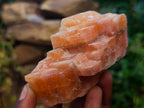 Natural Sunset Orange Calcite Specimens x 12 From Spitzkop, Namibia