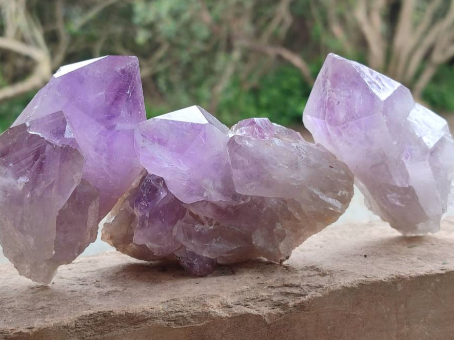 Natural Jacaranda Amethyst Quartz Single Crystals x 6 From Mumbwa, Zambia