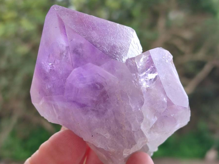 Natural Jacaranda Amethyst Quartz Single Crystals x 6 From Mumbwa, Zambia