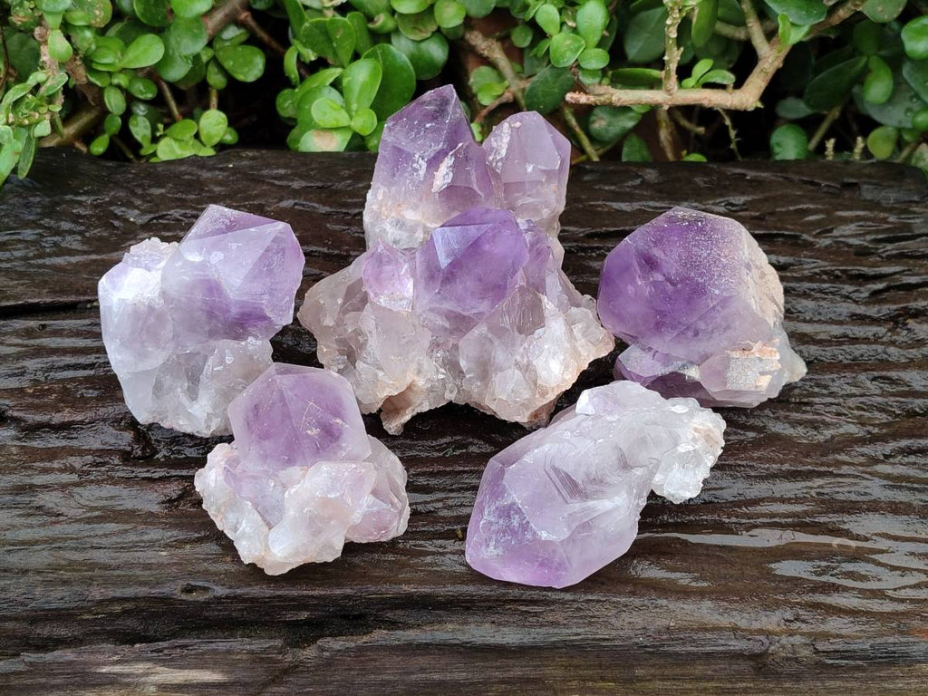 Natural Jacaranda Amethyst Quartz Single Crystals x 6 From Mumbwa, Zambia
