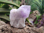Natural Jacaranda Amethyst Quartz Single Crystals x 6 From Mumbwa, Zambia