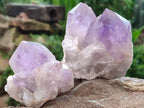 Natural Jacaranda Amethyst Quartz Single Crystals x 6 From Mumbwa, Zambia
