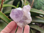 Natural Jacaranda Amethyst Quartz Single Crystals x 6 From Mumbwa, Zambia