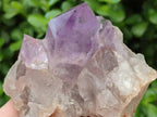 Natural Jacaranda Amethyst Quartz Single Crystals x 6 From Mumbwa, Zambia