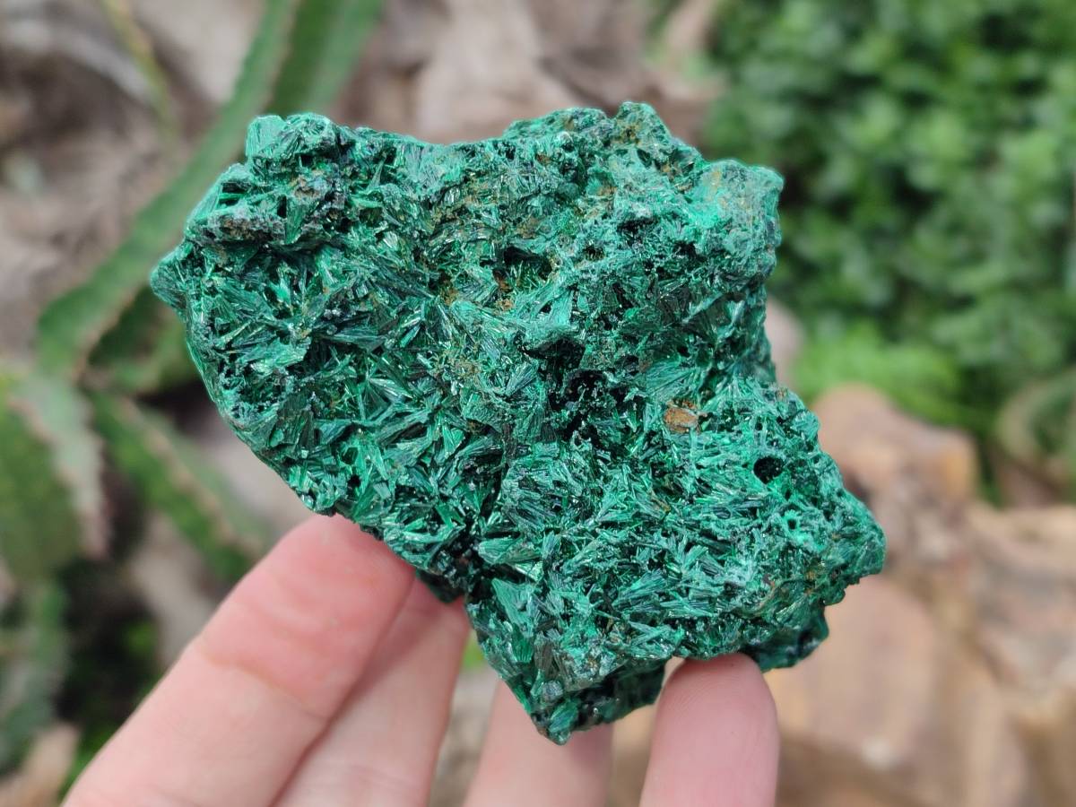 Natural Silky Malachite Specimens x 6 From Kasompe, Congo