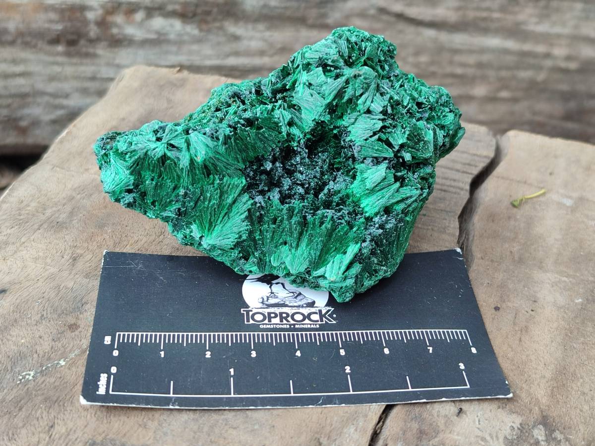 Natural Silky Malachite Specimens x 6 From Kasompe, Congo