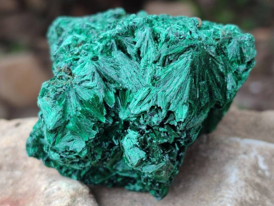 Natural Silky Malachite Specimens x 6 From Kasompe, Congo