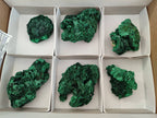 Natural Silky Malachite Specimens x 6 From Kasompe, Congo